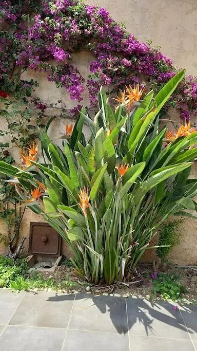 Appartement En Rez De Jardin Et Terrasse Ds Villa Hyères