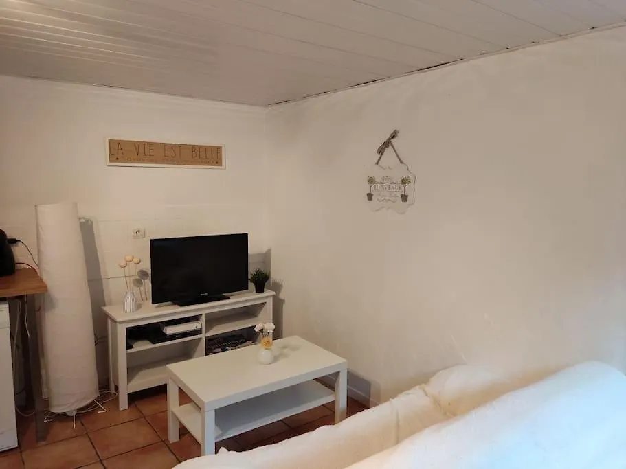 Appartement En Rez De Jardin Et Terrasse Ds Villa Hyères